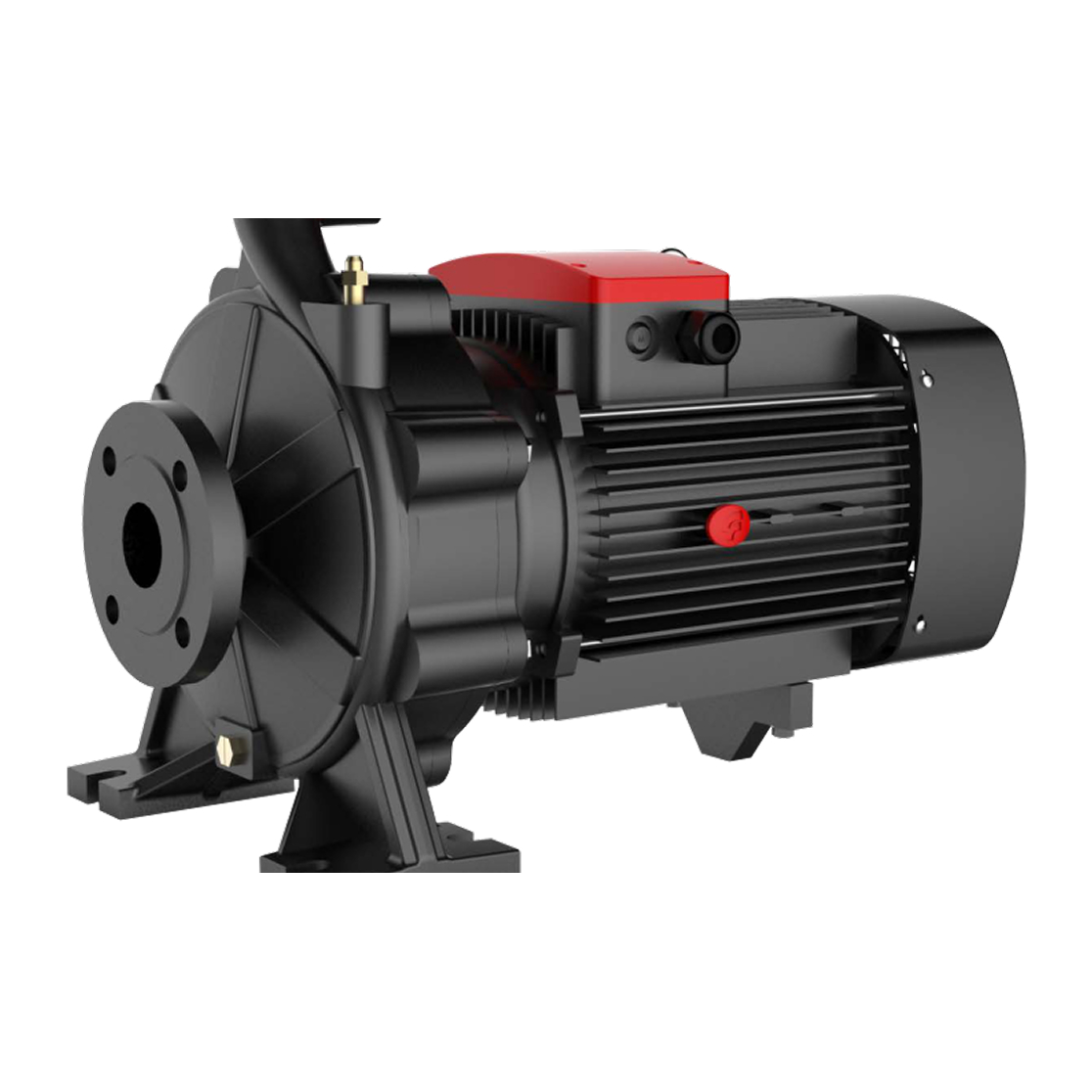 Насос FANCY  FST  50-125/30     (DN 65 / DN 50, 3.0 кВт, 3х380В)