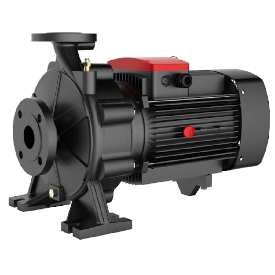 Насос FANCY  FST  50-125/30     (DN 65 / DN 50, 3.0 кВт, 3х380В)